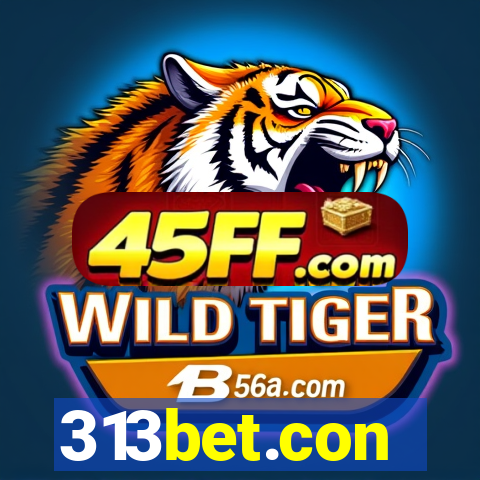 313bet.con