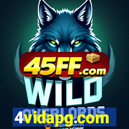 4vidapg.com