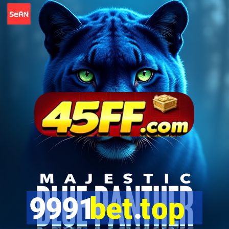 9991bet.top