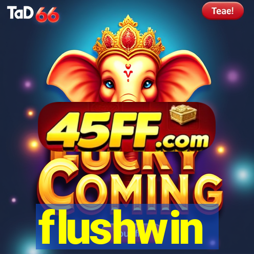 flushwin