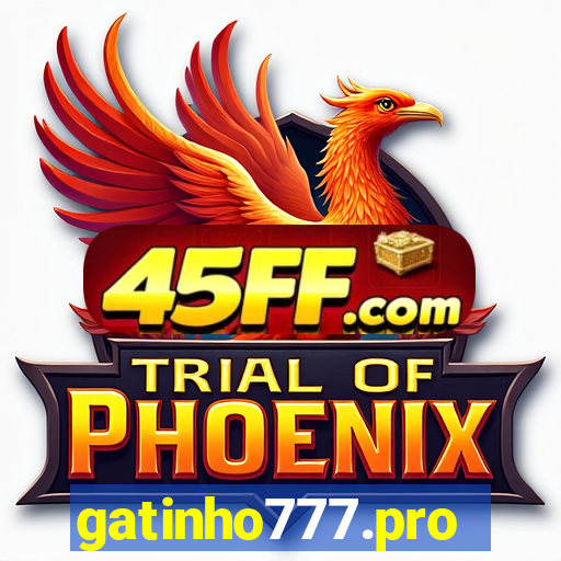 gatinho777.pro