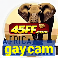 gaycam