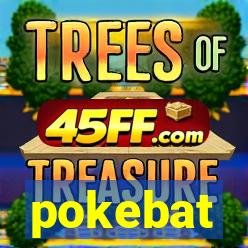 pokebat
