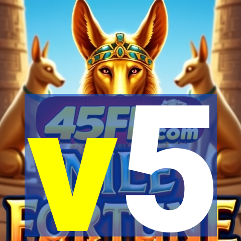 v5-lewa.com