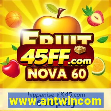 www.antwincom